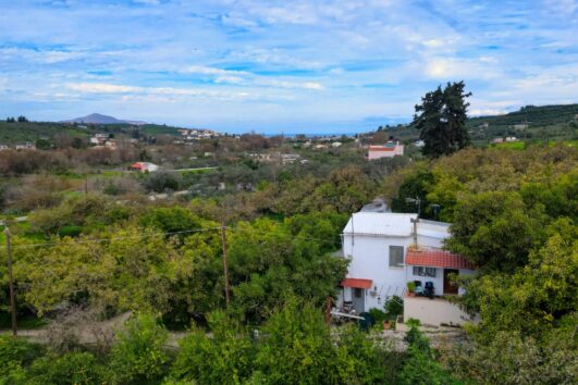 {:fr}GRECE (Crète) : A VENDRE à Armeni 5 mn de la plage de Kalyves, grande propriété arboricole (Oliviers, Vignes, Avocatiers, Orangers) et maison de 264 m2 {:}{:en}GREECE (Crète): TO SELL At Armeni, 5 minutes from Kalyves beach, large wooded property (olive trees, vines, avocado trees, orange trees) and a 264 m2 house. {:} (Copie)
